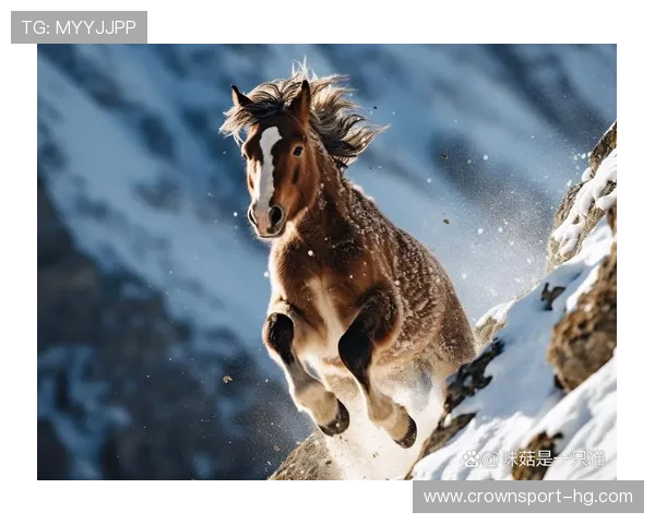 欢乐齐奔跑迁马花絮中稻米油人偶活力满为跑友助阵